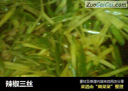 辣椒三丝