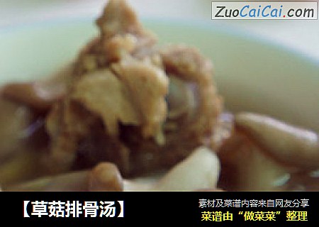【草菇排骨汤】