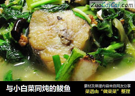 与小白菜同炖的鲅鱼