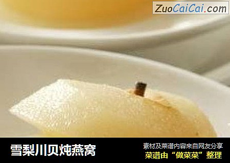 雪梨川贝炖燕窝