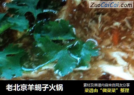 老北京羊蝎子火锅