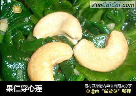 果仁穿心莲