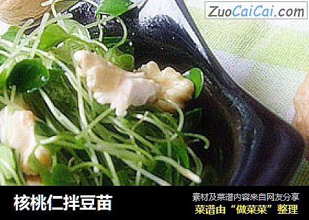 核桃仁拌豆苗