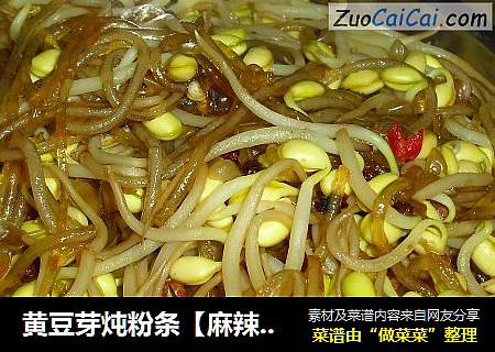 黄豆芽炖粉条【麻辣版】