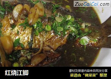 红烧江鲫