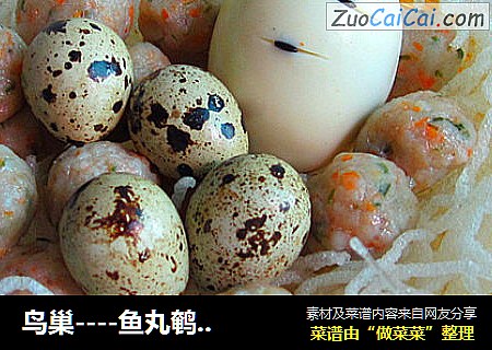 鸟巢----鱼丸鹌鹑蛋