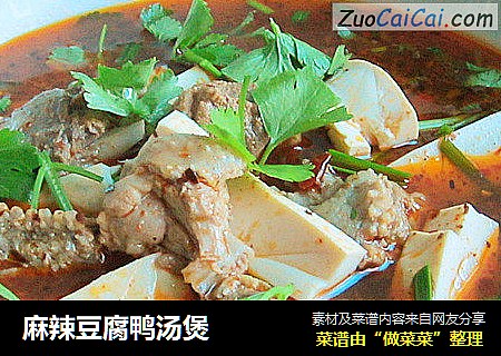麻辣豆腐鸭汤煲