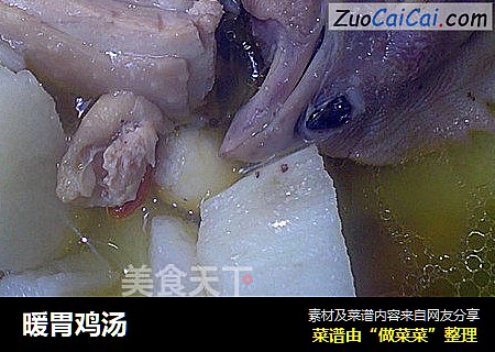 暖胃鸡汤