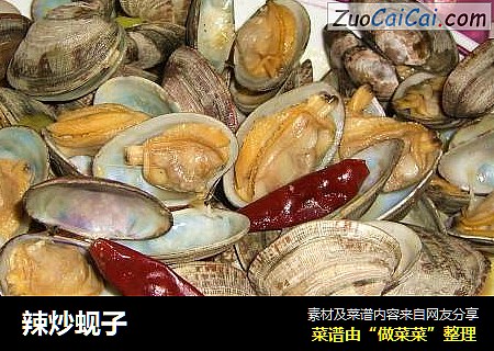 辣炒蚬子