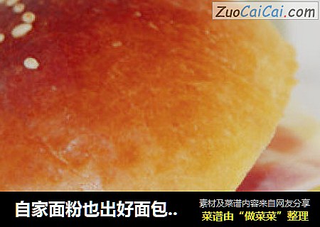 自家面粉也出好面包---『全麦餐包』