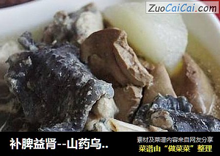 补脾益肾--山药乌鸡汤