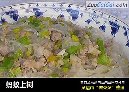 蚂蚁上树