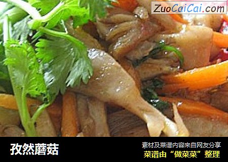 孜然蘑菇