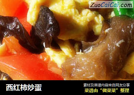 西红柿炒蛋