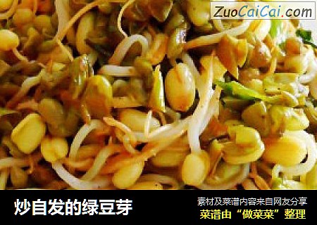 炒自发的绿豆芽