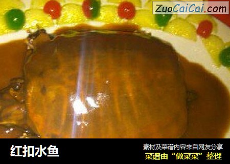 红扣水鱼