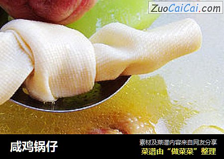 咸鸡锅仔