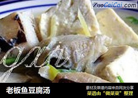 老板鱼豆腐汤