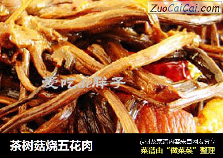 茶树菇烧五花肉