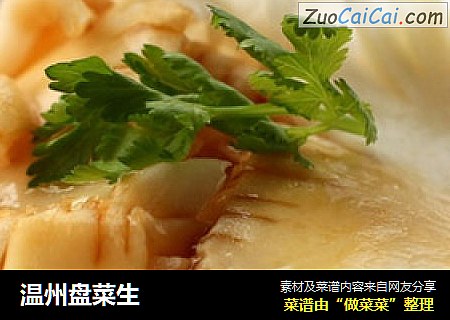 温州盘菜生