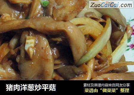 猪肉洋葱炒平菇