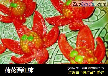 荷花西红柿