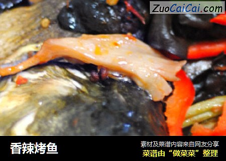 香辣烤鱼