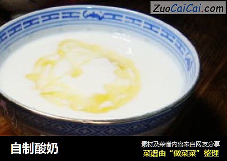 自制酸奶