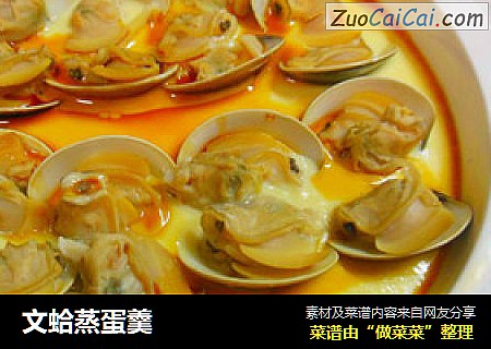 文蛤蒸蛋羹