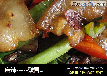 麻辣-----豉香回锅肉