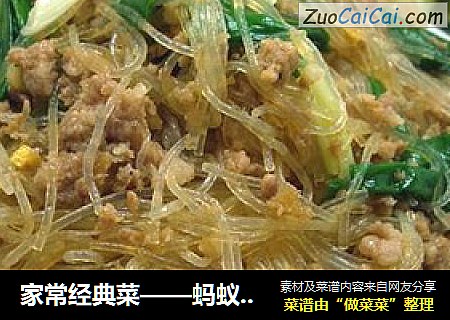 蚂蚁上树