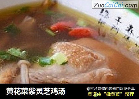 黄花菜紫灵芝鸡汤