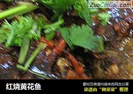 红烧黄花鱼