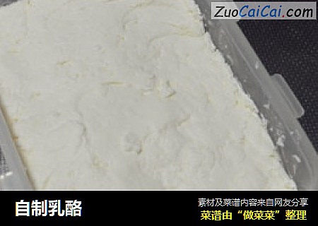 自制乳酪