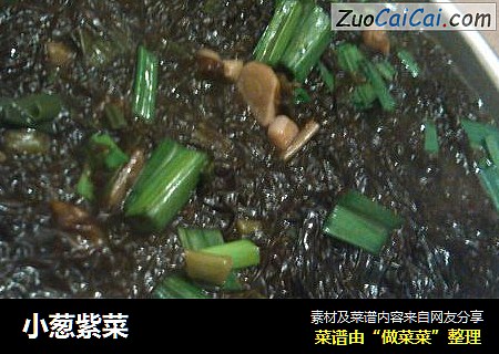 小葱紫菜