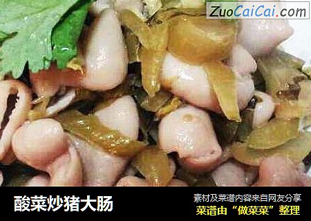 酸菜炒猪大肠
