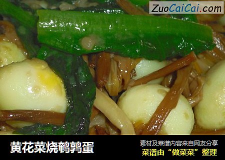 黄花菜烧鹌鹑蛋