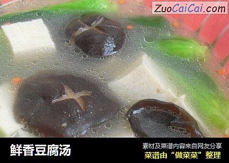 鲜香豆腐汤