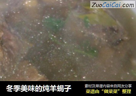 冬季美味的炖羊蝎子