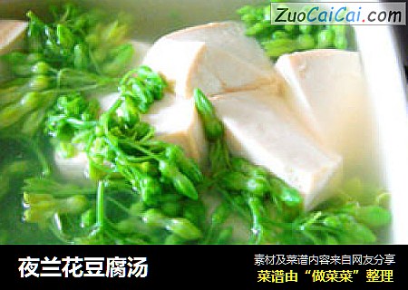 夜兰花豆腐汤