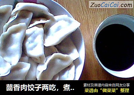 茴香肉饺子两吃，煮或做锅贴