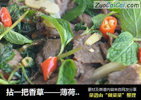 拈一把香草——薄荷炒牛肉