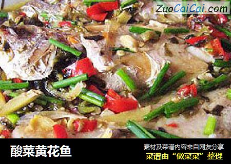 酸菜黄花鱼