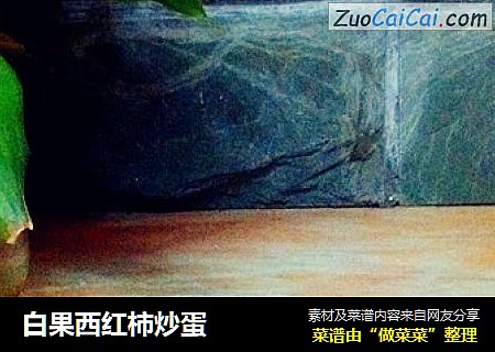 白果西红柿炒蛋
