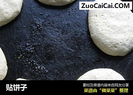贴饼子