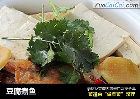 豆腐煮鱼