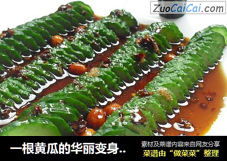 一根黄瓜的华丽变身之【简单便捷的凉拌小菜】