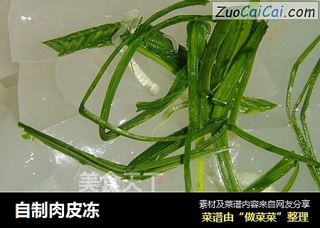 自制肉皮冻