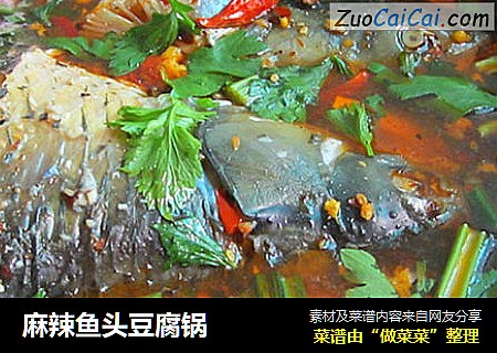 麻辣鱼头豆腐锅