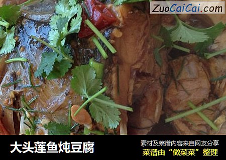 大头莲鱼炖豆腐